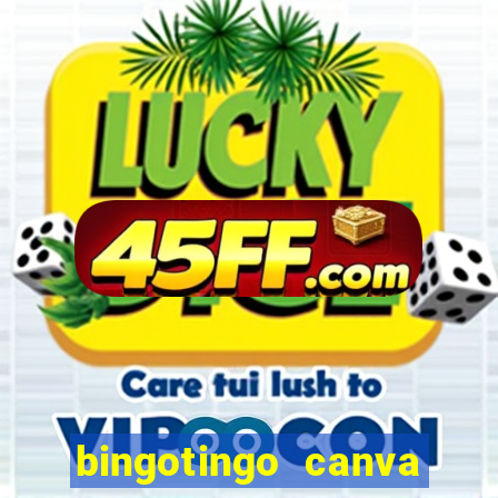 bingotingo canva pro gratis